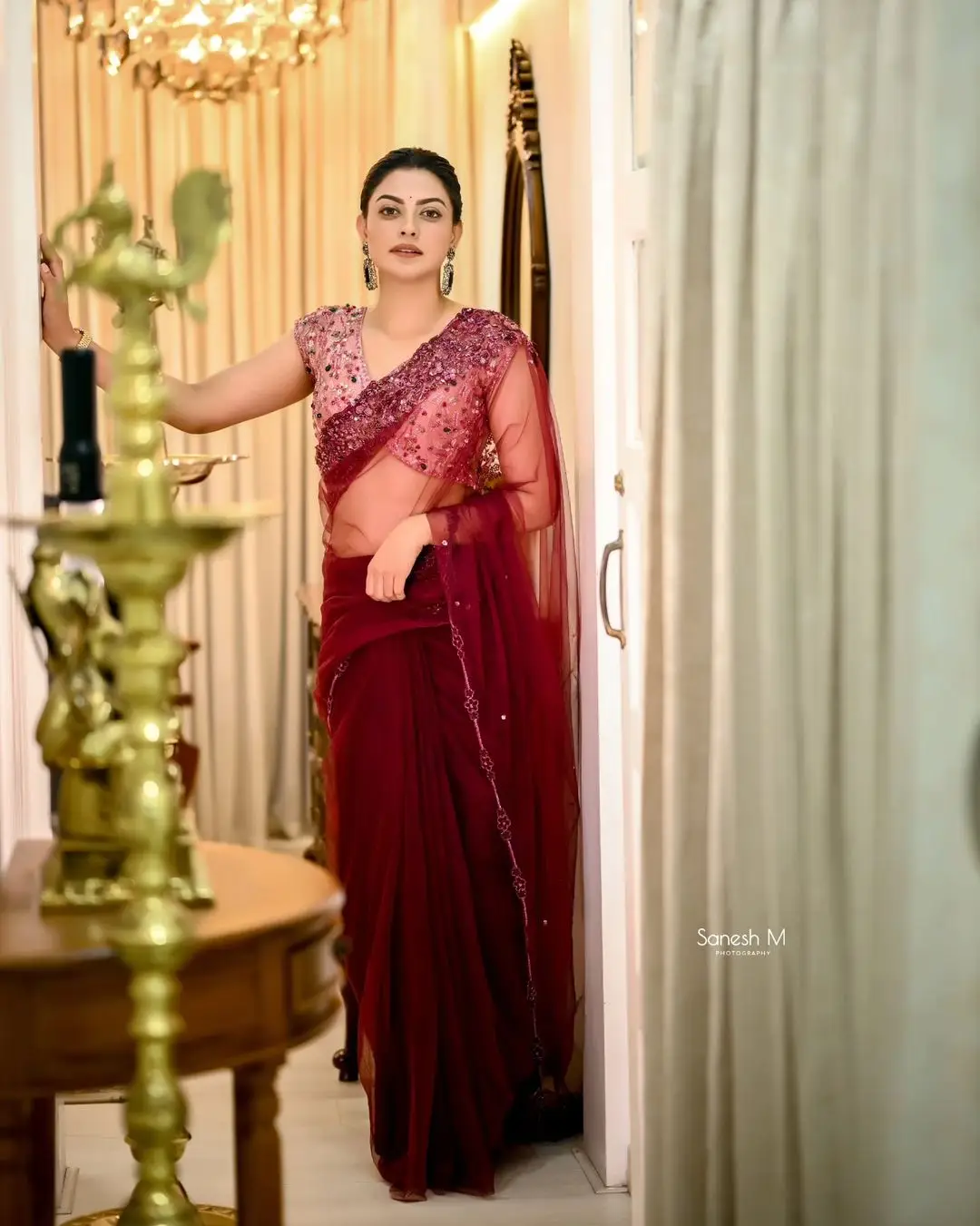 Anusree Nair In South Indian Traditional Maroon Saree Blouse